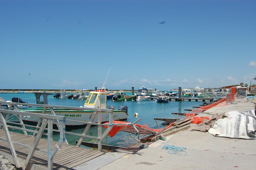 Iguana Studio Vue Mer Avec Cuve Saint-Francois  Εξωτερικό φωτογραφία